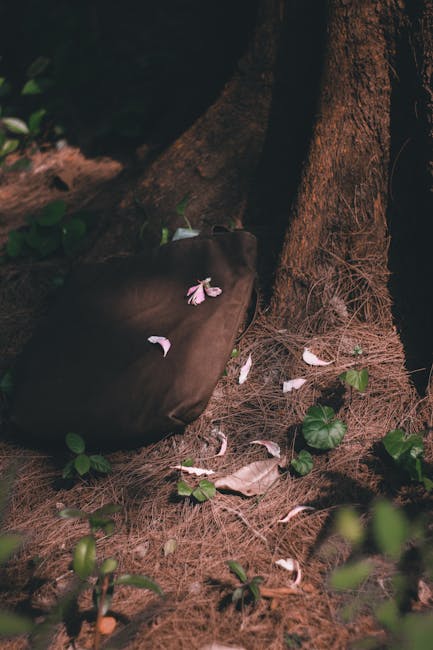 A black trash bag rests against the base of a large tree trunk on a forest floor, surrounded by scattered pink and white flower petals and green foliage. The ground is covered with dry pine needles and small leafy plants, with shadows indicating natural daylight filtering through the surrounding trees. The bag appears to be part of outdoor waste collection, positioned on a natural surface that suggests it might be an alternative disposal point rather than a typical rubbish removal site. The scene is calm and natural, with no visible waste other than the bag and petals, and the environment hints at a secluded outdoor area suitable for discreet rubbish disposal by private waste management services. Rubbish Collection Tooting provides such on-site clearance options, ensuring waste is handled professionally even in natural settings, supporting environmentally responsible rubbish removal efforts. The picture illustrates an outdoor waste collection scenario where waste is temporarily stored in a durable bag before professional removal by a nearby rubbish service provider. The image emphasizes the integration of waste disposal within natural environments, aligned with eco-conscious rubbish collection practices.